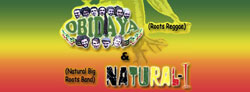 Natural Reggae Party