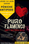 Puro Flamenco + Voleurs de Groove