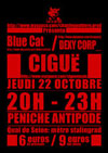 CHAT DE  GOUTTIERE PROD