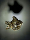 Le pêcheur et le poisson d'or Le pêcheur et le poisson d'or