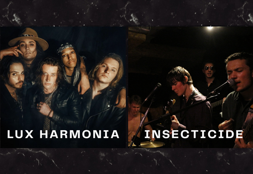 Insecticide + Lux Harmonia