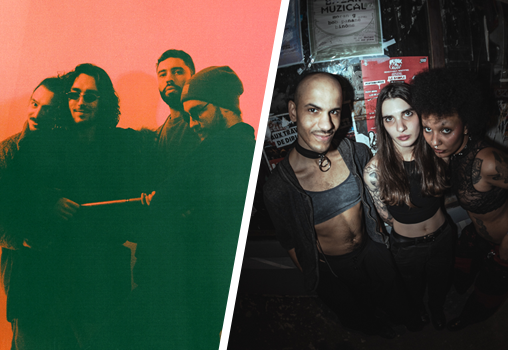 ArielWeiss + Chiennes